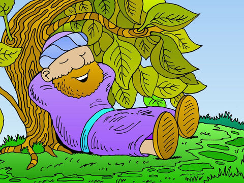 Angry Jonah calmed down to relax in the shade of this plant ‘Very nice!’ he said, ‘Just what I needed!’He chilled and enjoyed the leafy shelter. – Slide 22