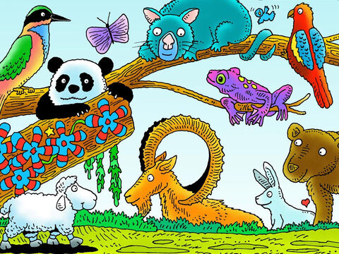 Little Lamb wandered on. Can you see him? What other animals can you see? (Left to right: bee-eater bird, panda, possum, ibex, poison dart frog, rosella parrot, rabbit, bear) – Slide 6