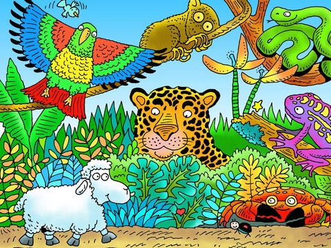 Little lamb did not know the danger he was in by wandering away from the shepherd. Can you see him? What other animals can you see? (Left to right: parrot, tarsier, jaguar, crab, snake, frog). Which of these animals might have hurt little lamb? – Slide 8