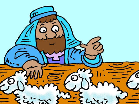 Every day he would count them into the sheepfold. 97… 98… 99 … – Slide 2