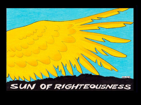 ‘But for you who revere my name, the sun of righteousness will rise with healing in its rays. And you will go out and frolic like well-fed calves.’ Malachi 4:2 – Slide 23