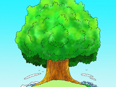 In his dream he saw a very big tree. It was so big it grew right up to the sky and its leaves spread all over the whole world. – Slide 3