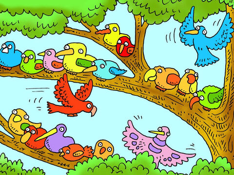 And many different birds lives among its huge branches. – Slide 5