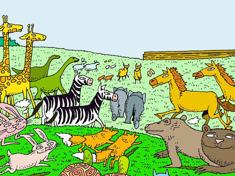 God then gathered the animals He wanted to spare and sent them to Noah in pairs. One male and one female. – Slide 11