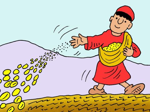 He said: ‘A farmer went out to plant his seed.’ – Slide 3