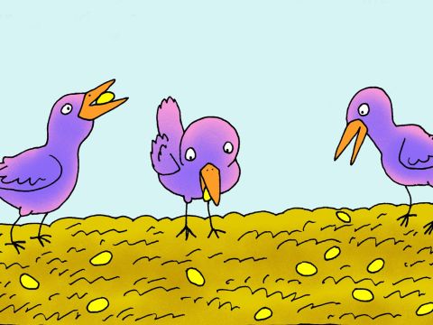 ‘While he was planting, some seed fell by the road. The birds came and ate all that seed.’ – Slide 4