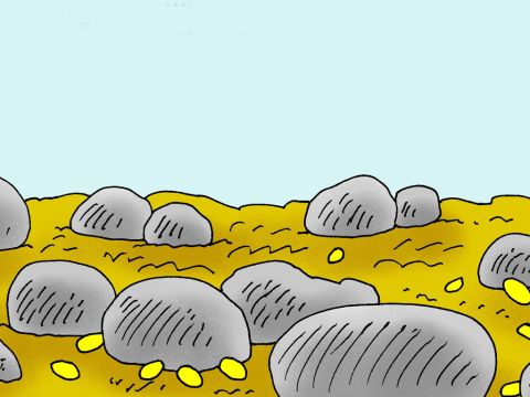 ‘Some seed fell on rocky ground, where there wasn’t enough dirt. That seed grew very fast, because the ground was not deep.’ – Slide 5