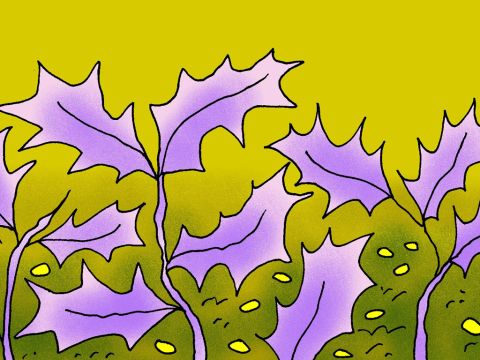 ‘Some other seed fell among thorny weeds. The weeds grew and choked the good plants.’ – Slide 7