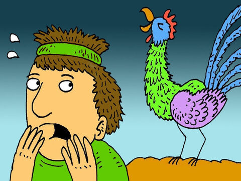 As Peter said the words, a rooster crowed. Peter remembered what Jesus had said. Peter walked out of the courtyard, crying bitterly. His faith was weak. Instead of having pure seeds of faith he was full of chaff and straw. – Slide 9