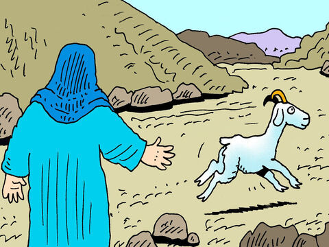 The other goat was to be kept alive. The priest would lay his hands on it as a picture to show that the sins of the people were put on the goat. It was then led off into the wilderness and released to run off and never be seen again. – Slide 2