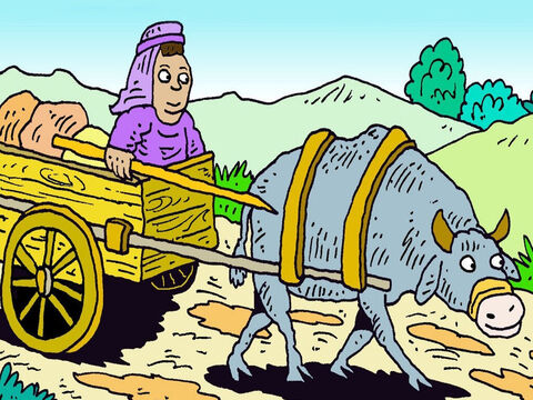 An ox-goad was used to prod an ox to get it moving again as it pulled a heavy cart or plough. – Slide 3