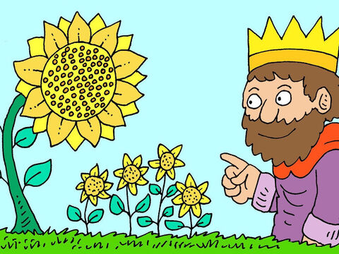 The king looked at the cycle of life, like seeds making plants that make seeds for new plants to grow. Whatever people did now had been done before and would be redone in the future. – Slide 6