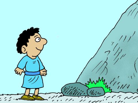 Jesus once told a parable about two builders. A wise man decided to build his house on rock. – Slide 1