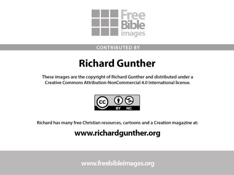 Slide 11