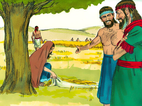 Boaz noticed Ruth collecting grain with the poor. ‘Who is that woman?’ he asked the man in charge of the harvesting. ‘She is the Moabite who returned with Naomi,’ he answered. ‘She asked permission to pick up grain and has been working hard.’ – Slide 3