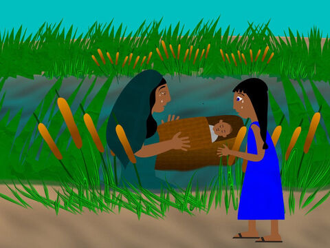 So the woman made a basket of bulrushes and covered it in slime and pitch to make it waterproof. Then she put the baby in the basket and placed it near the reeds. – Slide 4