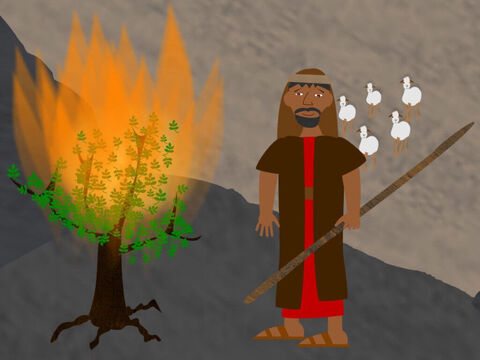 Finally Moses was ready to do what God had said. God told him that at that very moment Aaron was already travelling to meet him. Moses left the burning bush with the rod in his hand. He would use it to show the signs of God to Aaron and the Israelites so they would believe. – Slide 6