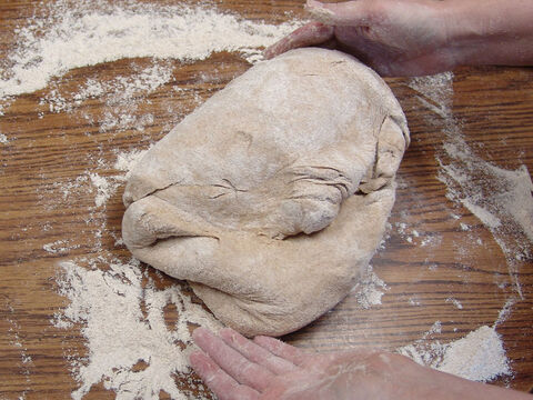 ‘The mixture is then kneaded to turn it from a clumpy, unevenly wet dough …’ – Slide 8