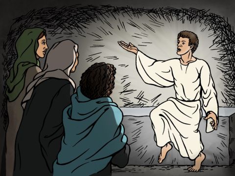 When they went into the tomb, they saw a young man wearing white clothes, and they were shocked. But the young man said to them, ‘Don’t be afraid. I know you are looking for Jesus of Nazareth who was crucified.’ <br/>‘He has risen from the dead. He’s not here! Go to Peter and the other disciples and say, “Jesus is going ahead of you to Galilee and you will see Him there, just as He told you.”’ – Slide 20