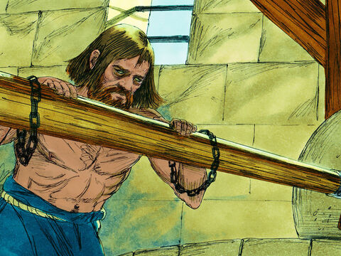 Samson suddenly realised God’s power had left him. He was powerless. The Philistines captured him, gouged out his eyes, put him in chains and forced him to grind grain in prison. But before long, his hair began to grow back. – Slide 12