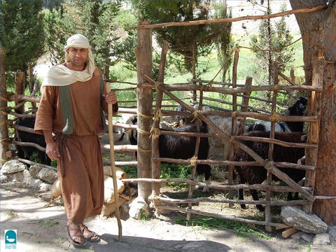 The staff was used to guide sheep or hook them out of danger. Psalm 23 talks about a shepherd’s rod and staff being a source of comfort to the sheep. – Slide 6