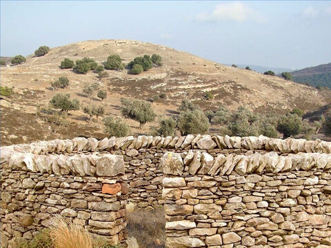 More permanent sheepfolds were built on the sunny side of valleys where there is protection from cold winds. These had stone walls, 4-5ft high and one entrance guarded by the shepherd. Thorns were often put on the top of walls to deter wild animals. Jesus referred to such a sheepfold and to thieves and robbers climbing over the wall (John 10:1-3). – Slide 16