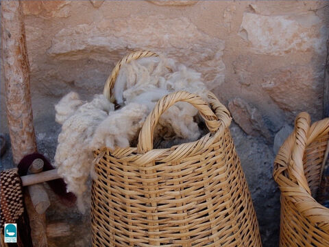 Sheep were valued for many products they produced. Wool was used to make many garments. Isaiah compares sins forgiven to the whiteness of wool (Isaiah 1:18). – Slide 22