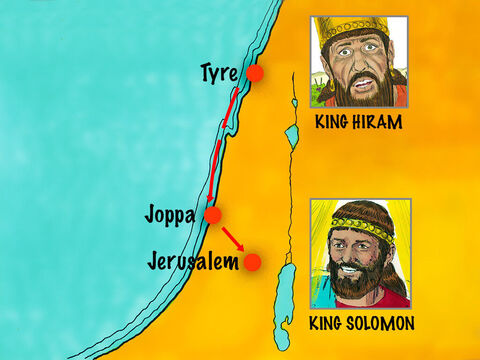 When Solomon became king he purchased expensive timber from King Hiram of Tyre. 30,000 workers were conscripted to work in shifts cutting trees in Lebanon. Large cedars and Juniper trees were then floated down the coast to Joppa. – Slide 3