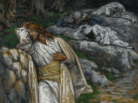 Jesus is deeply distressed. He tells Peter, James and John, ‘My soul is overwhelmed with sorrow to the point of death. Stay here and keep watch with me.’ <br/>Going on a little further, Jesus prays, ‘My Father, if it is possible, may this cup be taken from me. Yet not as I will, but as you will.’ <br/>(Matthew 26:38-39, Mark 14:34, Luke 22:41). <br/>My Soul is Sorrowful unto Death - James Tissot – Brooklyn Museum. – Slide 3