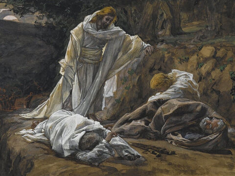 Jesus returns to find them asleep. ‘Couldn’t you keep watch with me for one hour?’ he asks Peter. ‘Watch and pray so that you will not fall into temptation. The spirit is willing, but the flesh is weak.’ <br/>(Matthew 26:40-41, Mark 14:35-38). <br/>You Could Not Watch One Hour - James Tissot – Brooklyn Museum. – Slide 4