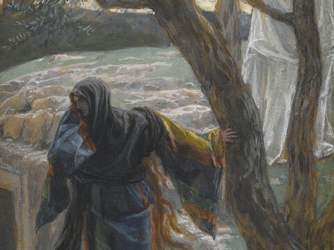At this, she turned around and saw someone there, but she did not realise that it was Jesus. <br/>He asked her, ‘Why are you crying? Who is it you are looking for?’ <br/>Thinking He was the gardener, she said, ‘Sir, if you have carried Him away, tell me where you have put Him, and I will get Him.’ <br/>(John 20:14-15). <br/>Jesus Appears to Mary Magdalene - James Tissot - Brooklyn Museum. – Slide 7