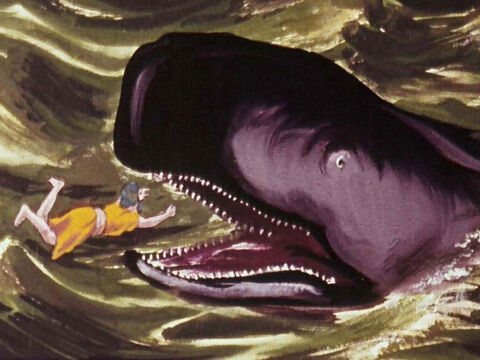 When Jonah ran away, he was swallowed by a large fish. – Slide 3