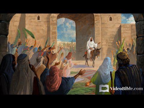 The next day the great crowd that had come for the festival heard that Jesus was on his way to Jerusalem. They took palm branches and went out to meet Him, shouting, ‘Hosanna!’ <br/>‘Blessed is He who comes in the name of the Lord!’ <br/>‘Blessed is the king of Israel!” <br/>Jesus found a young donkey and sat on it, as it is written: ‘Do not be afraid, Daughter Zion; see, your king is coming, seated on a donkey’s colt.’ <br/>At first His disciples did not understand all this. Only after Jesus was glorified did they realise that these things had been written about Him and that these things had been done to Him. <br/>John 12:12-16 – Slide 1