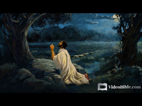 He withdrew about a stone’s throw beyond them, knelt down and prayed, ‘Father, if you are willing, take this cup from me; yet not my will, but yours be done.’ An angel from heaven appeared to Him and strengthened Him. And being in anguish, He prayed more earnestly, and His sweat was like drops of blood falling to the ground.  <br/>Luke 22:41-44 – Slide 5