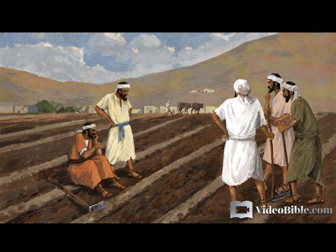 Be patient, then, brothers and sisters, until the Lord’s coming. See how the farmer waits for the land to yield its valuable crop, patiently waiting for the autumn and spring rains. – Slide 3