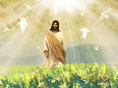‘He testifies to what He has seen and heard, but no one accepts His testimony.  <br/>Whoever has accepted it has certified that God is truthful.’ – Slide 24