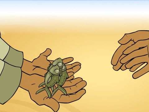 They also had a few little fish … – Slide 13