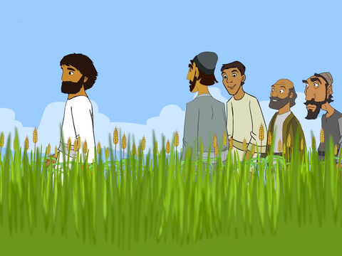 One Sabbath Jesus and his disciples were walking through some wheat fields. – Slide 1