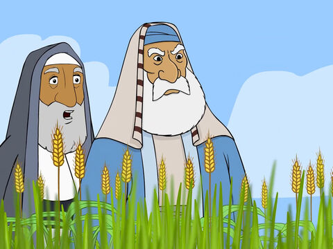 ‘Why are your disciples picking grain on the Sabbath? They are not supposed to do that!’ – Slide 4