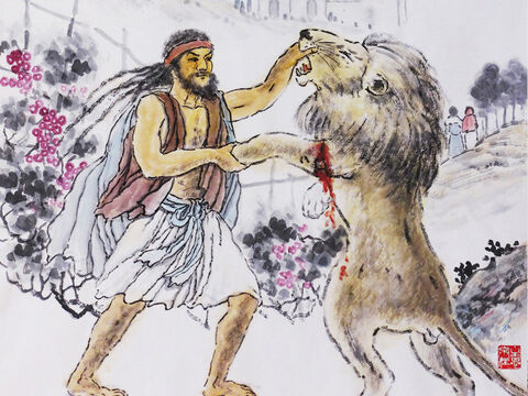 One day when Samson was in Timnah, one of the Philistine women caught his eye and he wanted to marry her. His father and mother objected, wanting him to marry an Israelite woman. <br/>But Samson insisted, ‘Get her for me!’  <br/>As Samson and his parents were going down to Timnah, a young lion suddenly attacked Samson. The Spirit of the Lord came powerfully upon him, and he ripped the lion’s jaws apart with his bare hands. When Samson arrived in Timnah, he talked with the woman and was very pleased with her. – Slide 3