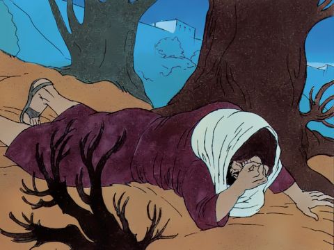 ‘My Father, if it’s possible, take this suffering away from me.’ – Slide 5