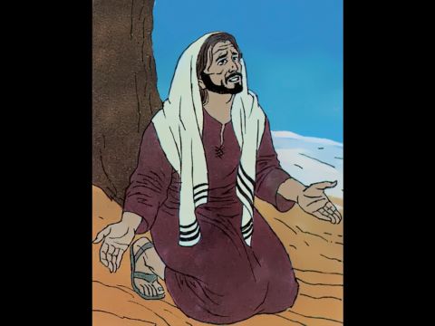 ‘But not my will but your will must be done!’ – Slide 6