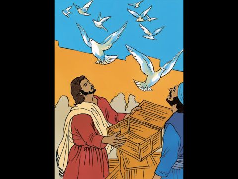 He overturns the seats of those selling doves. – Slide 10