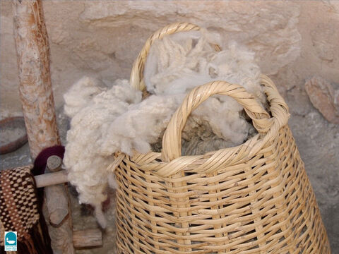 Fleeces were gathered from sheep to make wool. – Slide 6