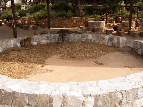The threshing floor was a circular space of 30-50ft (10-18m). – Slide 16