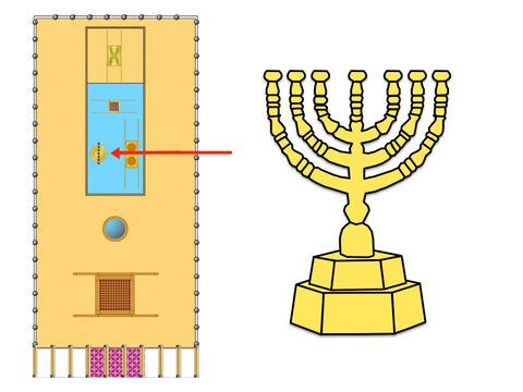 The menorah, or ‘golden lampstand’ stood at the left side of the Holy Place. It was hammered out of one piece of pure gold. The lampstand had seven branches, each designed like an almond tree, containing buds, blossoms and flowers. Seven lamps holding olive oil and wicks stood on top of the branches. The priests were instructed to keep the lamps burning continuously. – Slide 18