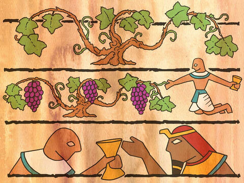 So the chief cupbearer told his dream to Joseph, and said to him, ‘In my dream, behold, there was a vine in front of me; and on the vine were three branches. And as it was budding, its blossoms came out, and its clusters produced ripe grapes. Now Pharaoh’s cup was in my hand; so I took the grapes and squeezed them into Pharaoh’s cup, and I put the cup into Pharaoh’s hand.’ Genesis 40:9-11 (NASB). – Slide 7