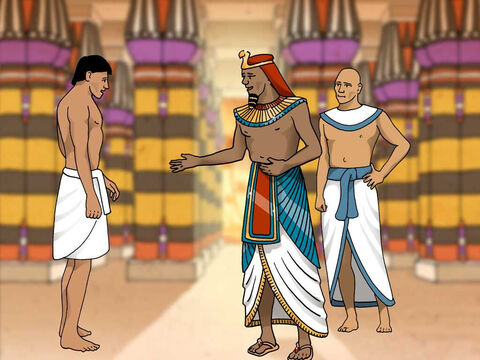 Pharaoh called for Joseph to be brought to him. They prepared Joseph with a wash, new clothes and a shave. Pharaoh asked Joseph to interpret his dream. Joseph said, ‘It is not in me; God will give Pharaoh a favourable answer.' <br/>Then Pharaoh told Joseph his dreams. ‘In my dream, I was standing on the bank of the Nile and seven fat cows, came up out of the Nile to graze on the marsh grass. Then seven other cows came up after them, poor and very thin and gaunt. These thin cows ate up the first seven fat cows but remained as thin as they were before. Then I awoke. I saw also in my dream seven good and full ears of corn on a single stalk. Then seven ears, withered, thin, and scorched by the east wind, sprouted up after them; and the thin ears swallowed the seven good ears. Then I told it to the magicians, but there was no one who could explain it to me.’ (Genesis 41:14-24) – Slide 16