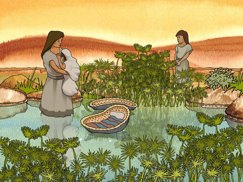 At this time a Hebrew family had a baby boy. The mother tried to hide the baby boy for fear that he would be killed. But when she could hide him no longer, she got him a wicker basket and covered it over with tar and pitch. Then she put the child into it and set it among the reeds by the bank of the Nile. Exodus 2:3 (NASB) The baby’s sister watched to see what would happen to him. – Slide 4