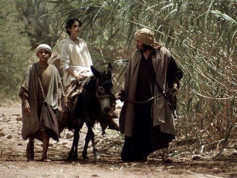 When Jesus was twelve years old, Mary and Joseph took Him to Jerusalem for the Festival of the Passover. – Slide 1